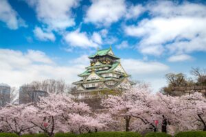 Osaka Castle with Japanese cherry blossom garden and tourist sightseeing at Osaka, Japan. Japan tourism, history building, or tradition culture and travel concept